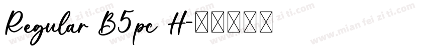 Regular B5pc H字体转换